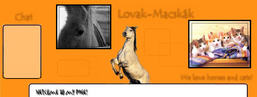 Lovak-Macskk ~ ♥We love horses and cats!♥